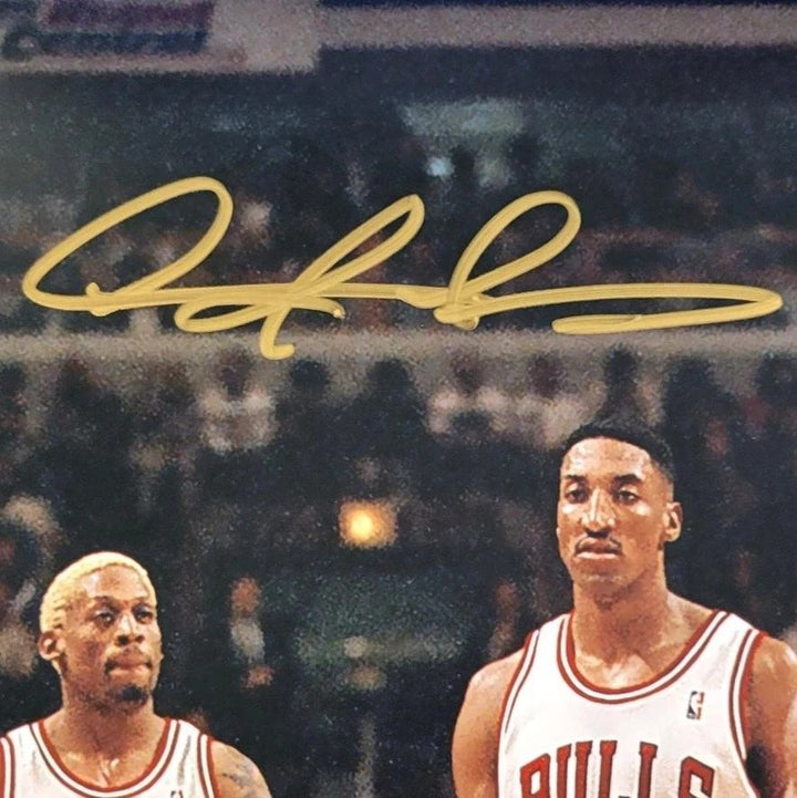 Dennis Rodman signed 97-98 Bulls Last Dance 16x20 photo autograph ~ Beckett BAS