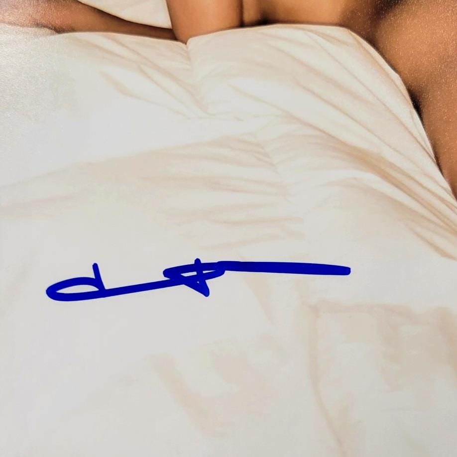 Stacey Dash signed 8x10 photo actress autograph sexy ~ Beckett BAS