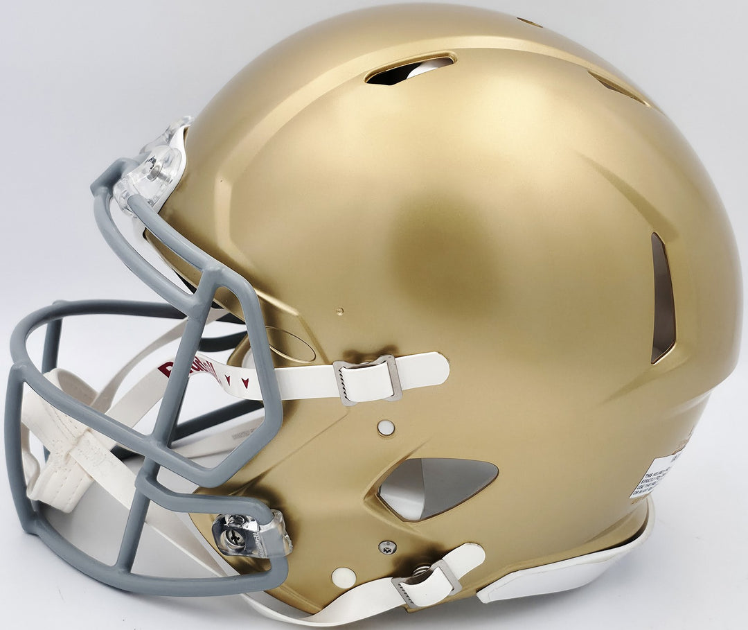 Ry Ruettiger Auto Notre Dame Fighting Irish Gold Full Size Helmet Movie Speech