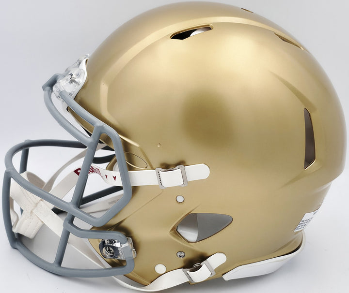 Ry Ruettiger Auto Notre Dame Fighting Irish Gold Full Size Helmet Movie Speech