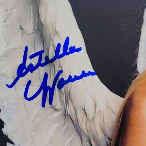 Estella Warren signed 8x10 Photo #4 Actress Model autograph ~ PSA COA