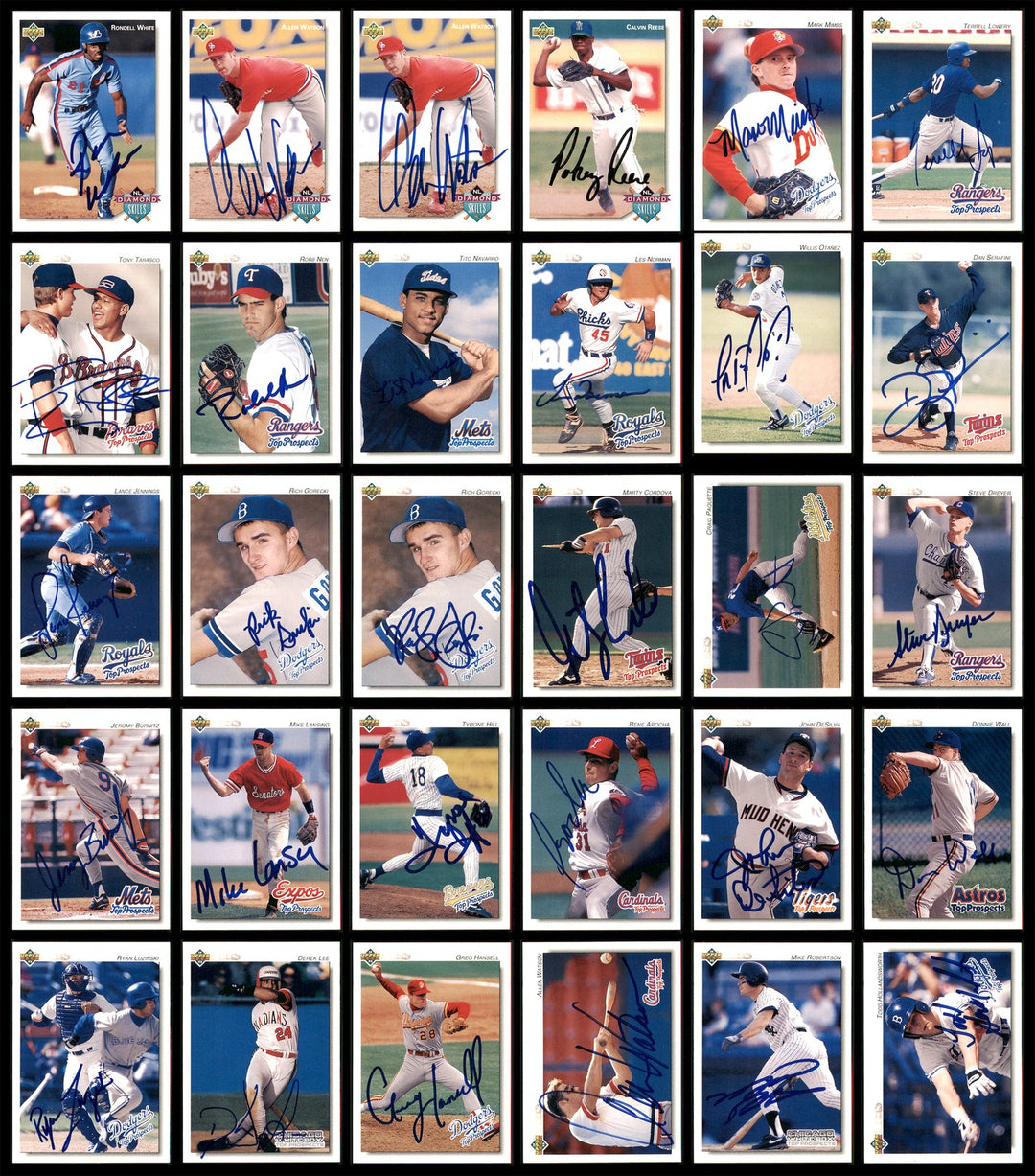 1992 Upper Deck Minor League Baseball Autographed Signed Cards Lot Of 123