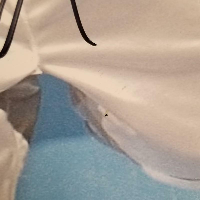 Allen Iverson signed Matted 11x15 Photo Denver Nuggets Auto ~ PSA Sticker NO COA