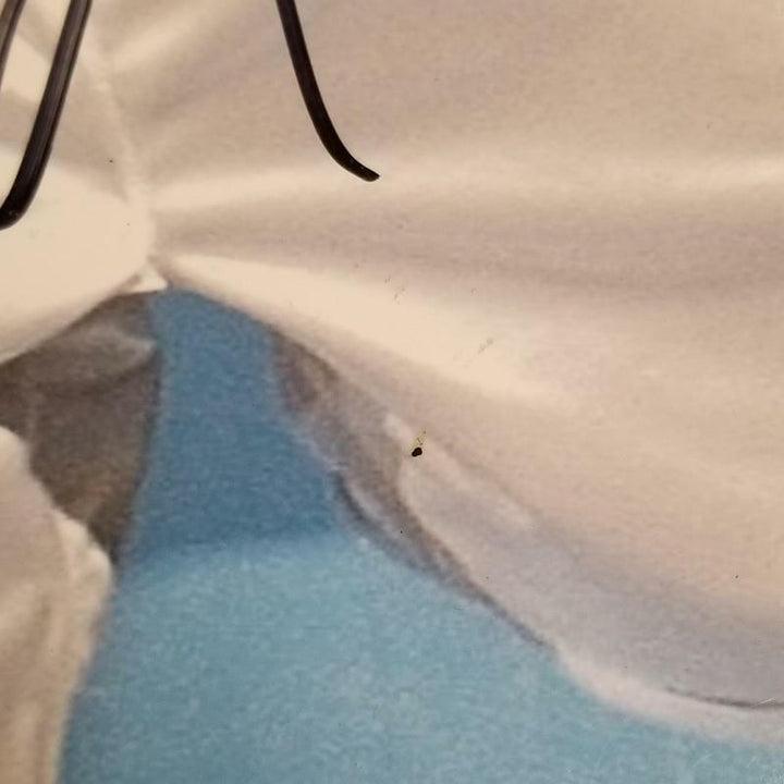 Allen Iverson signed Matted 11x15 Photo Denver Nuggets Auto ~ PSA Sticker NO COA