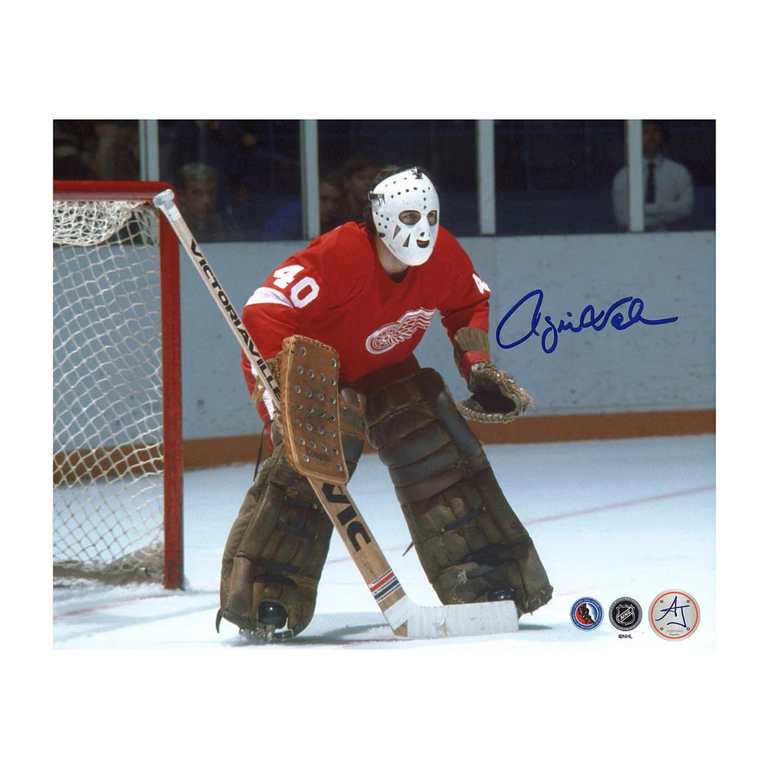 Rogie Vachon Detroit Red Wings Autographed Goalie 8x10 Photo