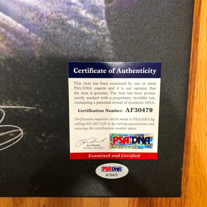 De'Aaron Fox signed 16x20 canvas PSA/DNA Sacramento Kings Autographed