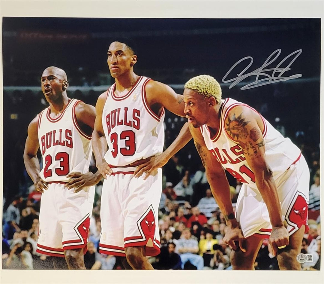 Dennis Rodman signed 16x20 photo autograph Pippen Jordan ~ Beckett BAS Witness
