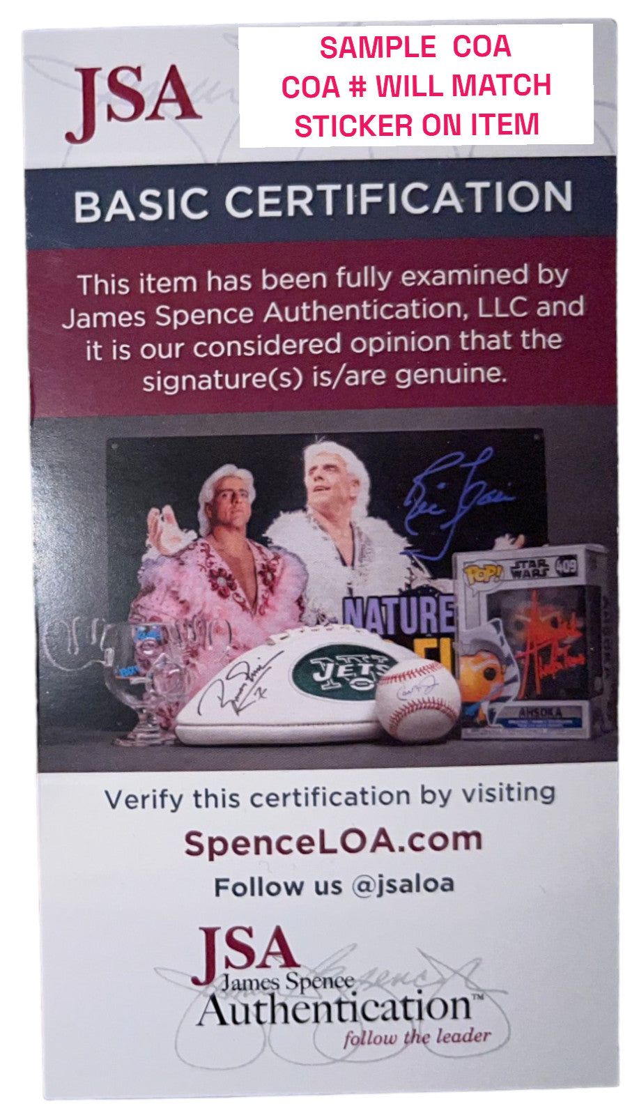 SHANE STEICHEN SIGNED AUTOGRAPHED INDIANAPOLIS COLTS FOOTBALL MINI HELMET JSA