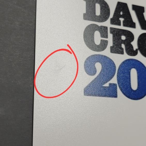 Brittney Palmer signed Playboy 16x20 Photo UFC Ring Girl Model autograph ~ BAS