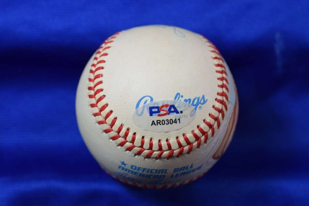 Ted Williams PSA DNA Autograph American League Hand Painted Baseball Signed