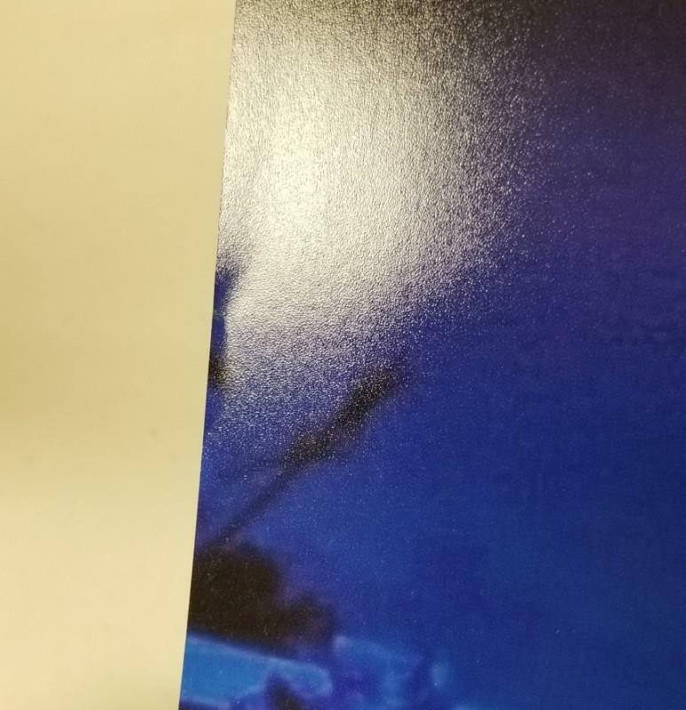 Chris Sarandon signed 16x20 Photo #5 Nightmare Jack Skellington A ~ PSA/DNA COA