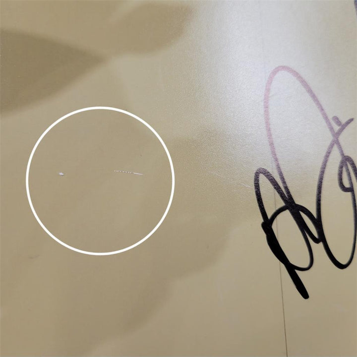 Anthony Davis signed Pelicans 12x18 photo autograph Lakers ~ JSA COA *Read*