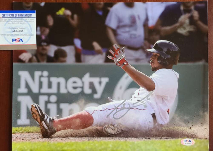 Xander Bogaerts PSA/DNA Signed  11x14 Photo Autograph