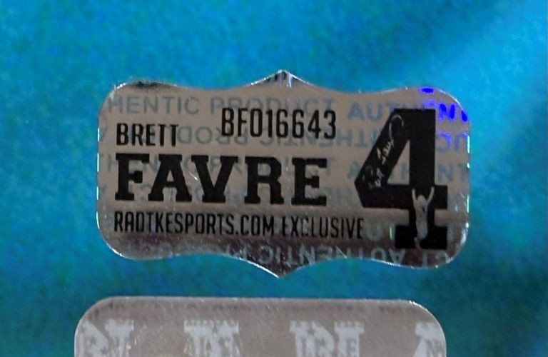 Brett Favre Signed Framed 16x20 Green Bay Packers Photo Lambeau Legends Radtke