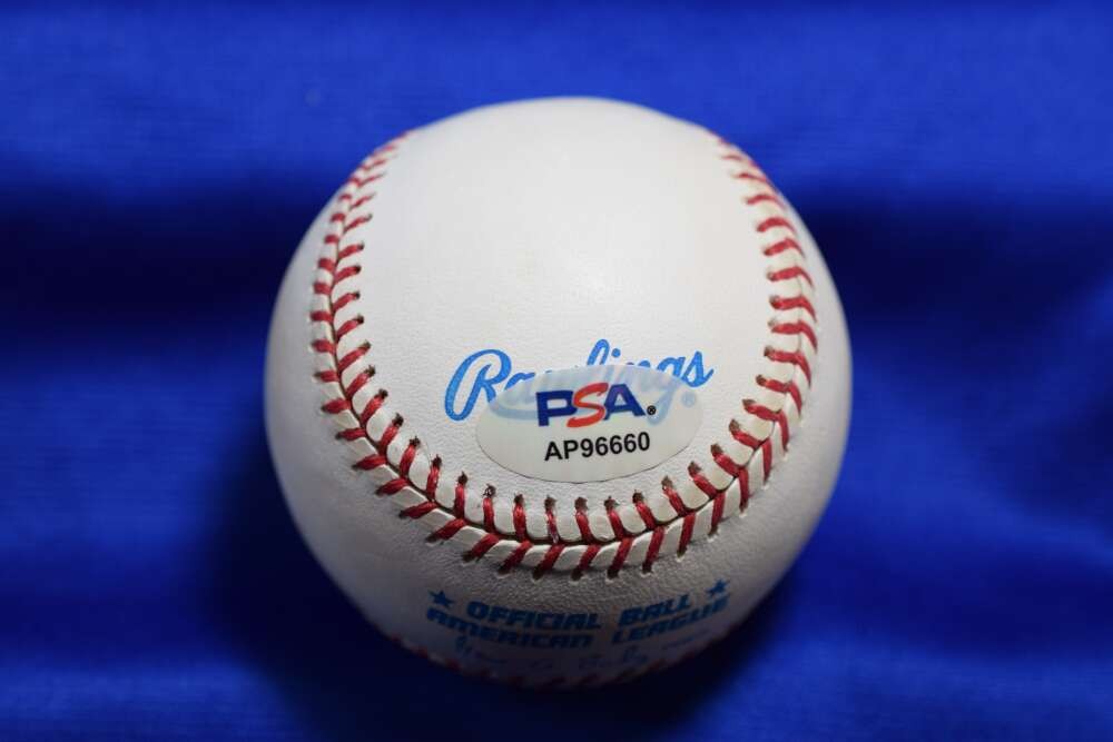 Johnny Blanchard PSA DNA Autograph American League Signed Baseball 1961 Champs