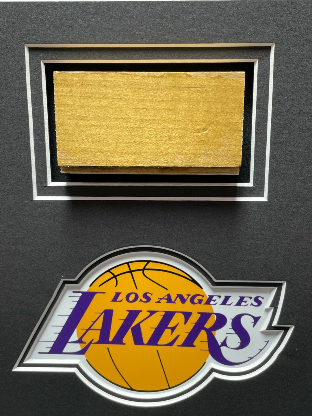 Michael Jordan Magic Johnson Authentic Game Used Bulls Lakers Floors Framed COA