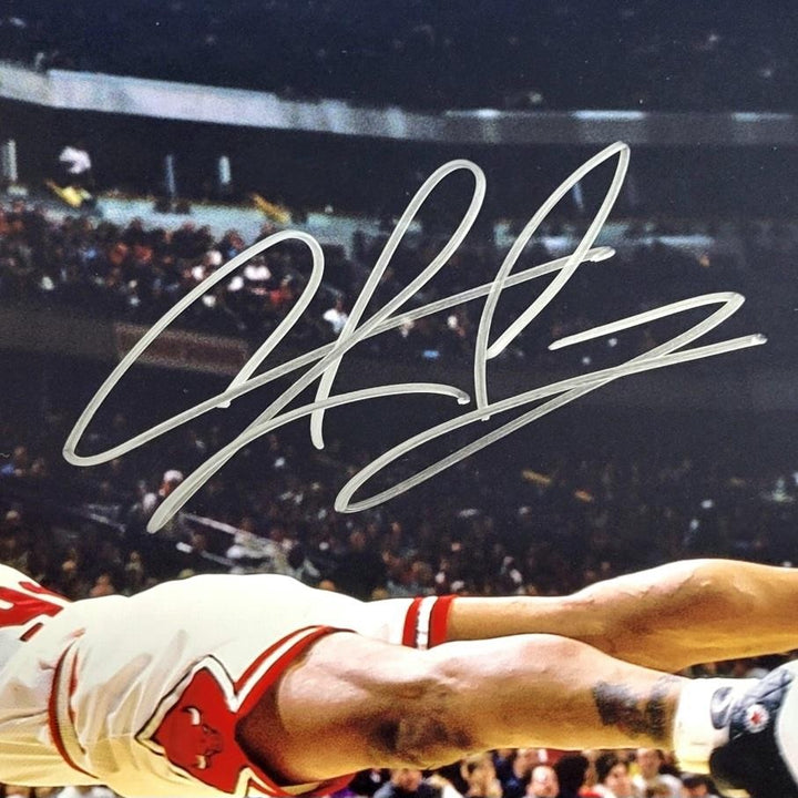 Dennis Rodman signed Bulls 16x20 photo Diving autograph ~ Beckett BAS Witness