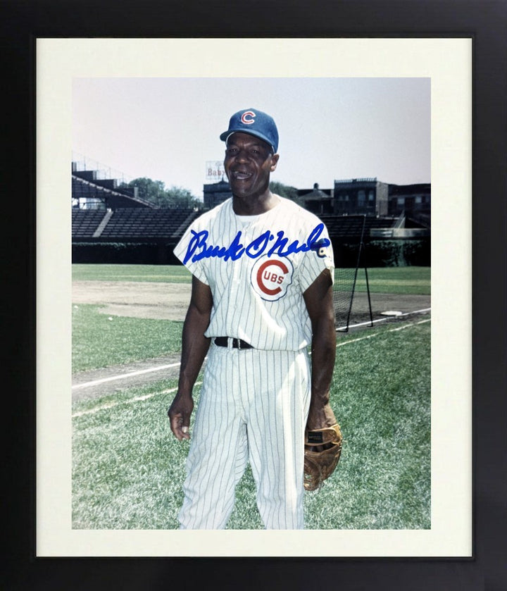 Buck O'Neil signed Cubs 8x10 Photo Minor Dings Framed - COA (Negro Leagues/HOF)