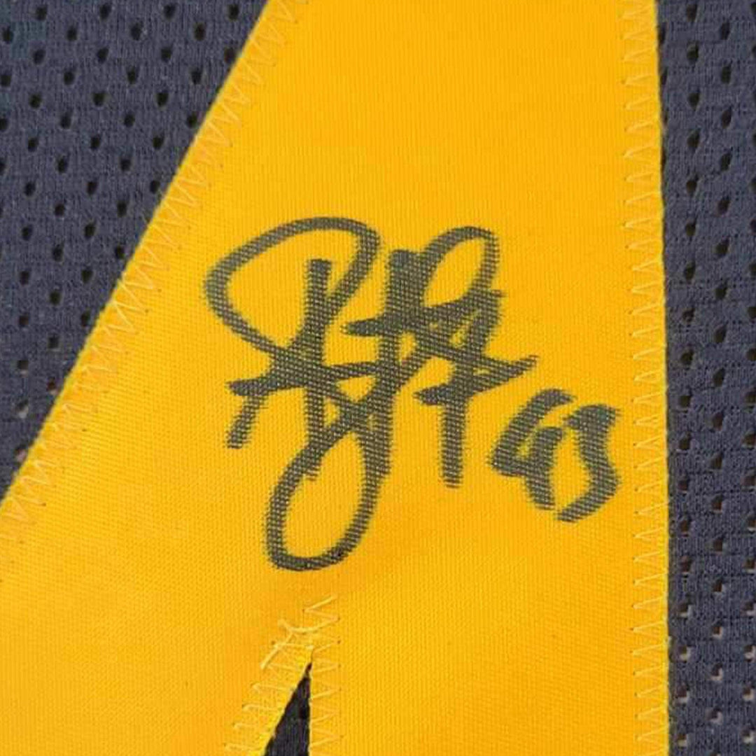FRAMED Autographed/Signed TROY POLAMALU 33x42 Pittsburgh CR Jersey Beckett COA