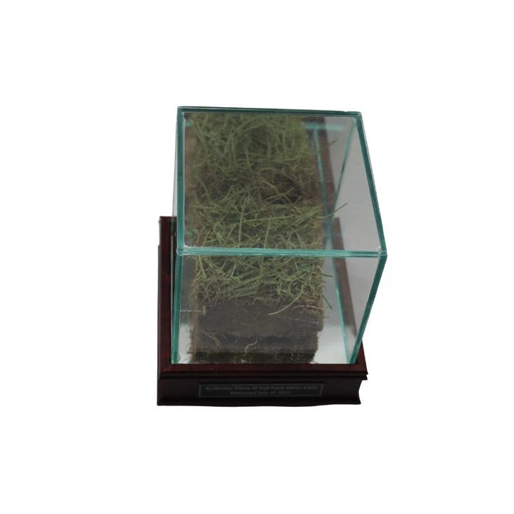 Pittsburgh Steelers Authentic Piece of Freeze Dried Sod from Heinz Field with Display Case