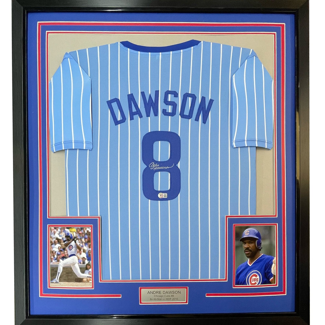 Framed Signed Andre Dawson 35x39 Chicago Pinstripe Blue Jersey JSA COA