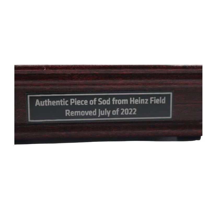Pittsburgh Steelers Authentic Piece of Freeze Dried Sod from Heinz Field with Display Case