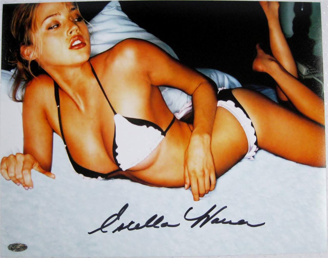Estella Warren Signed 11x14 Photo Victoria Secret Model Beauty & The Beast F
