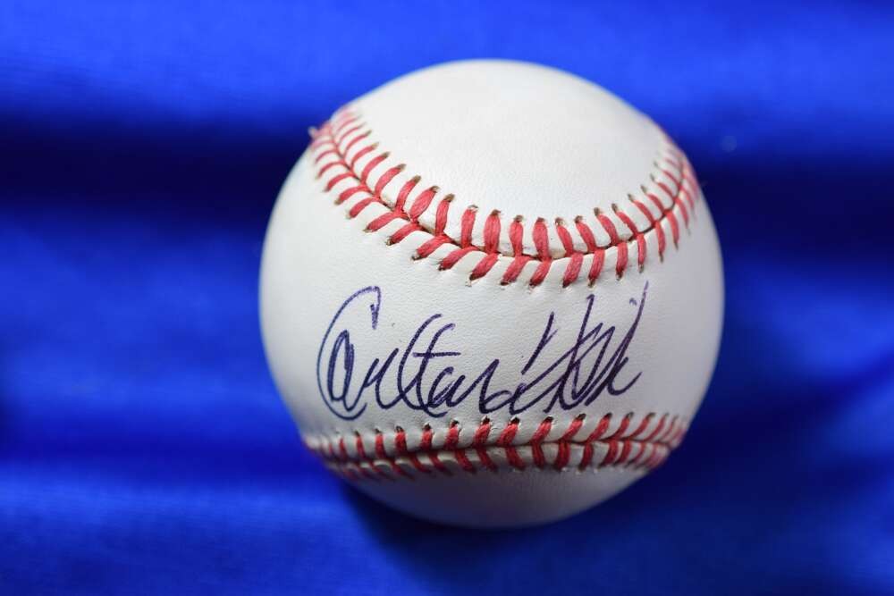 Carlton Fisk PSA DNA Autograph American League OAL Signed Baseball