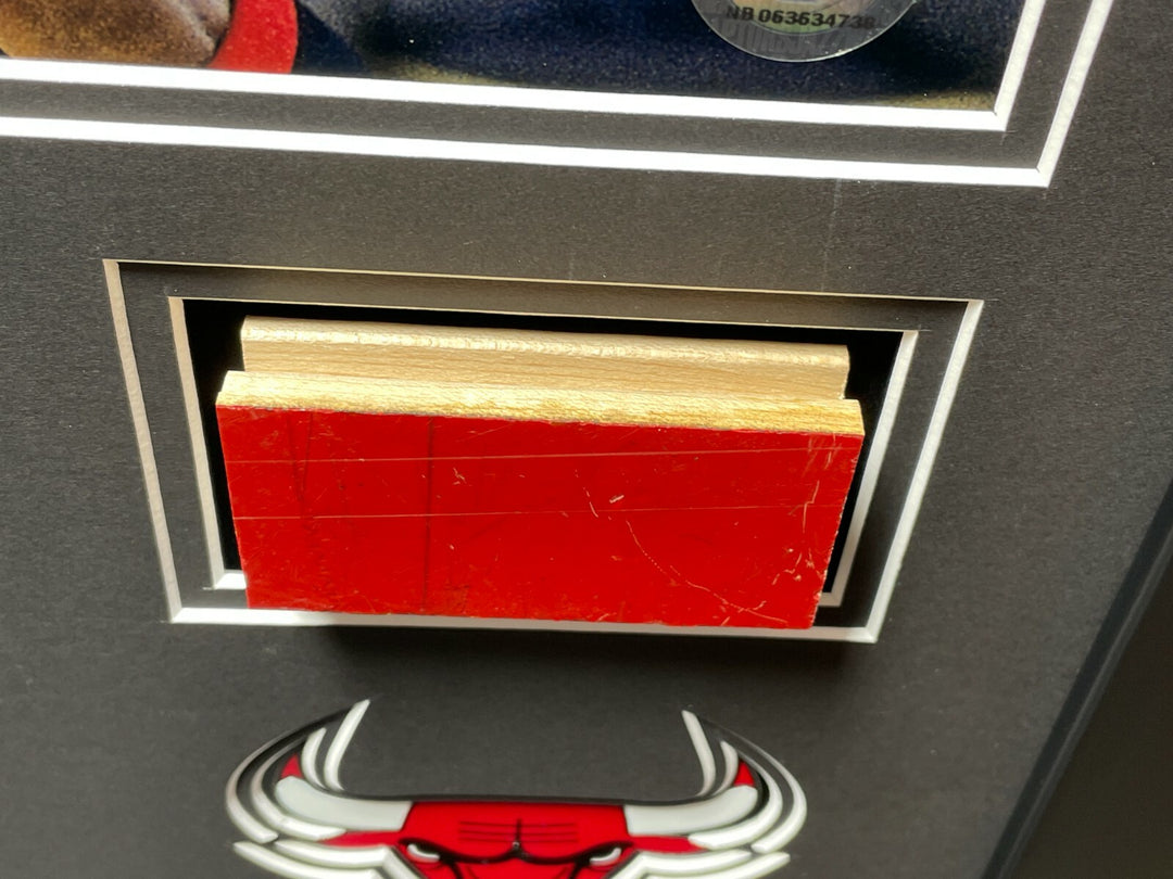 Michael Jordan Magic Johnson Authentic Game Used Bulls Lakers Floors Framed COA