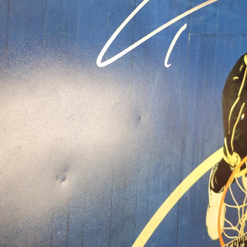 *READ* Giannis Antetokounmpo signed Milwaukee Bucks 16x20 photo autograph ~ JSA