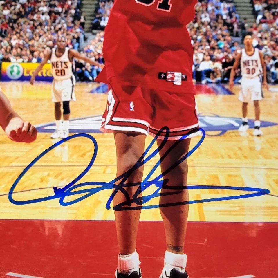 Dennis Rodman autograph signed Bulls 16x20 photo w/ Michael Jordan ~ Beckett BAS