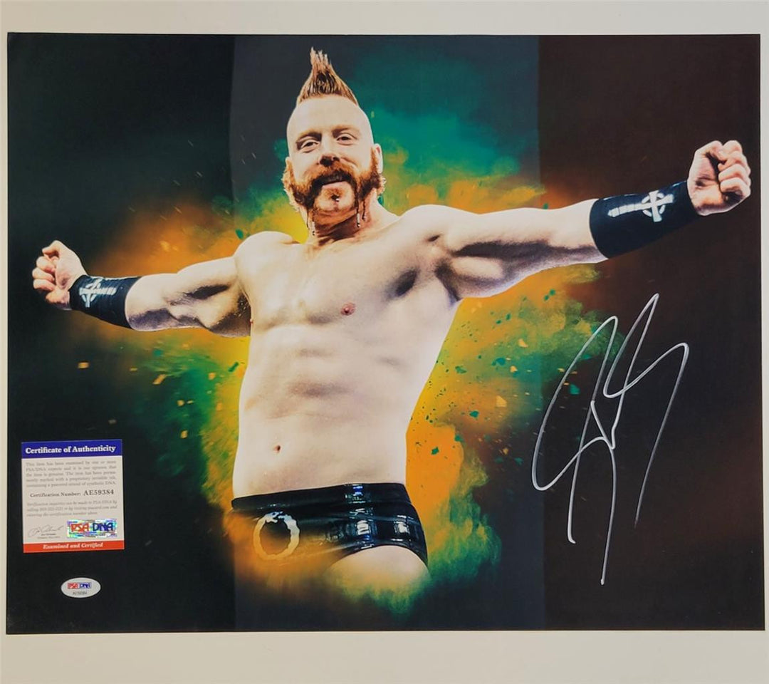 Sheamus signed Wrestling WWE 16x20 photo autograph ~ PSA/DNA COA