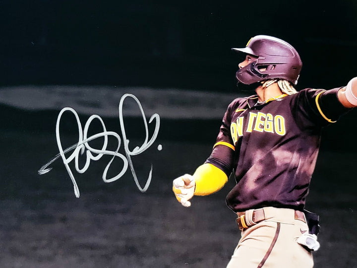 Fernando Tatis Jr. Signed 16x20 Photo Padres Spotlight In Silver Beckett