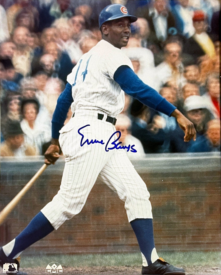 Ernie Banks signed Chicago Cubs MLB Licensed 8x10 Photo- COA