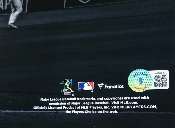 Fernando Tatis Jr. Auto 16x20 Photo Padres Bat Flip Spotlight In Yellow Beckett