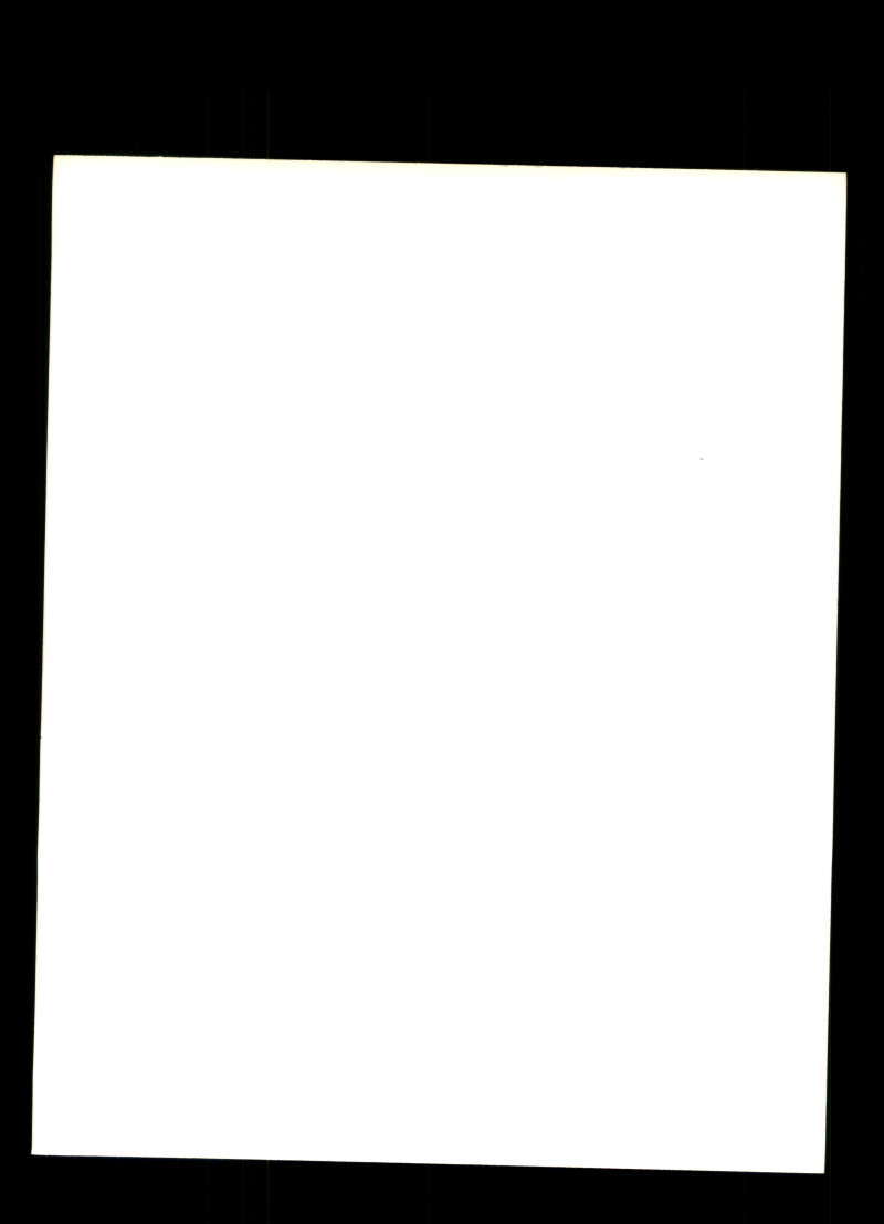 Cal Ripken Jr PSA DNA Signed 8x10 Photo Autograph Orioles