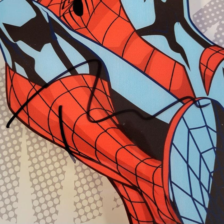 Tobey Maguire signed Spider-Man 16x16 Wall Art Display autograph ~ Beckett BAS