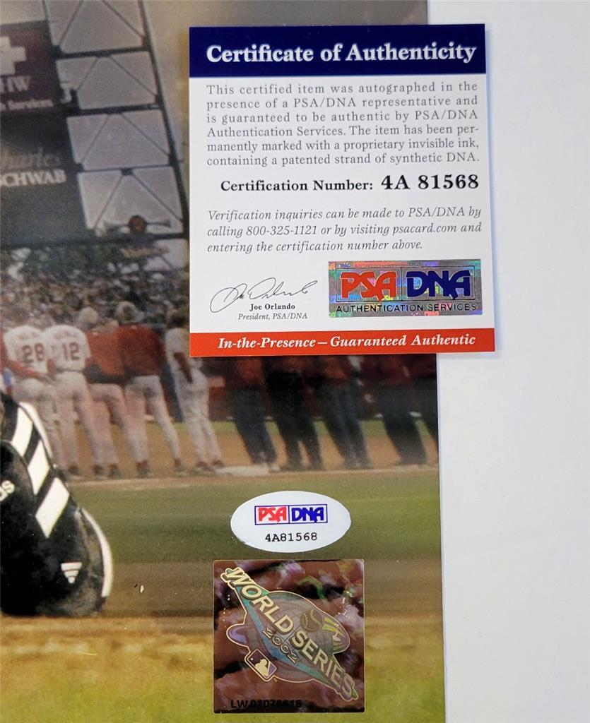 Scott Spiezio signed 2002 World Series HR Angels 16x20 photo auto ~ PSA