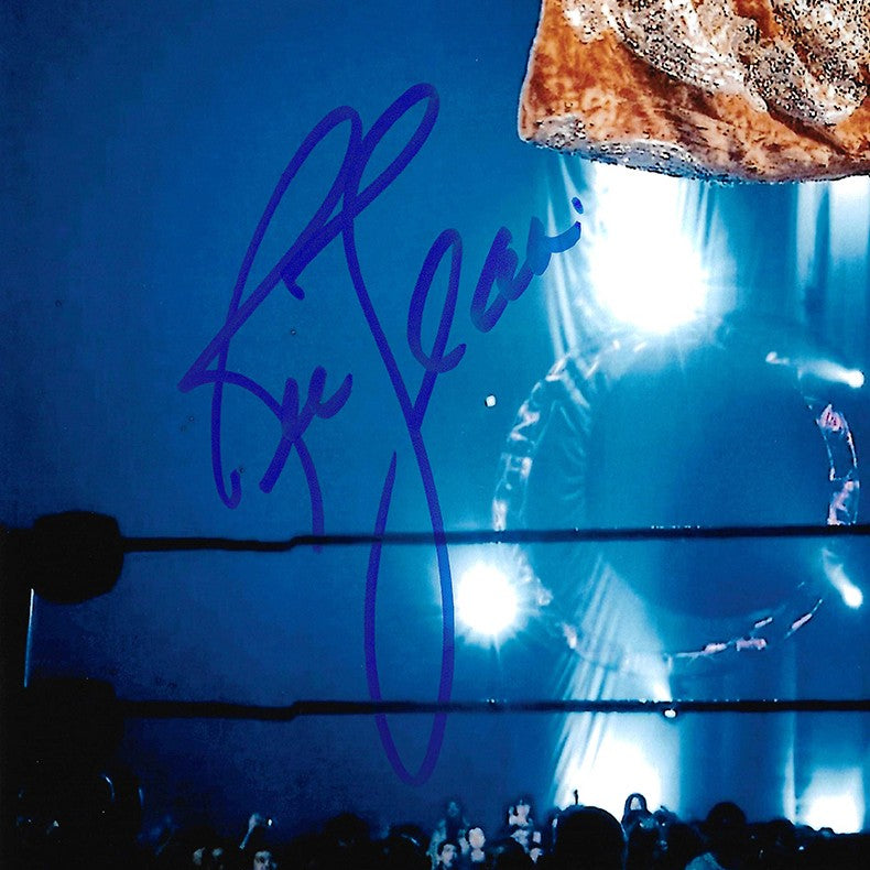 Ric Flair Signed 11x14 Photo JSA