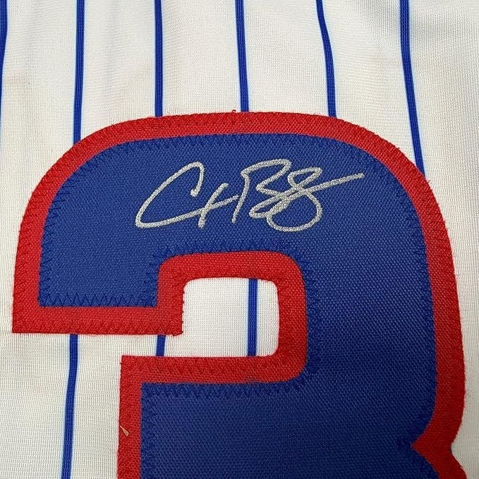 Framed Autographed Alex Bregman 35x39 Chicago Pinstripe Baseball Jersey BAS COA