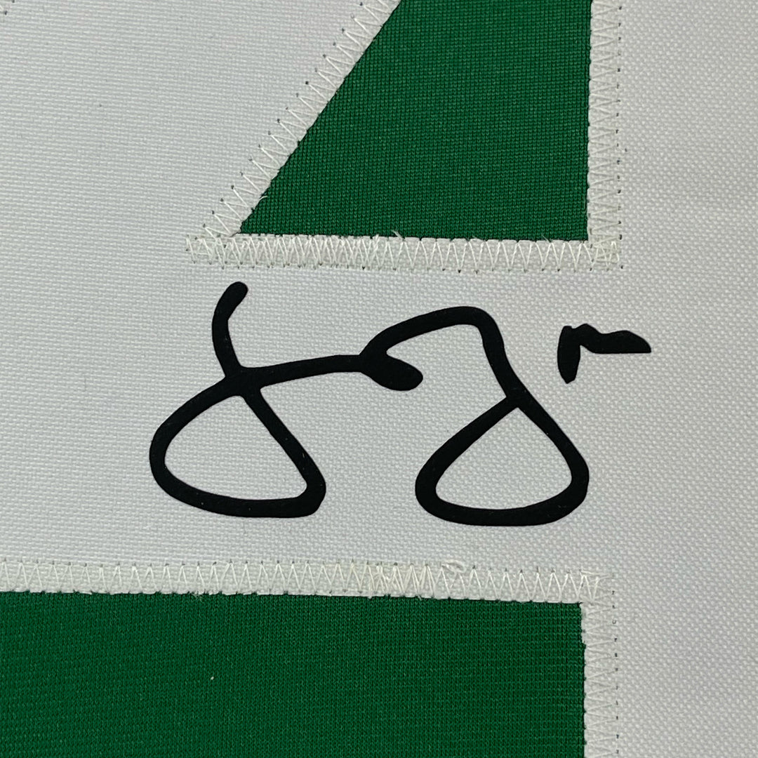 Framed Facsimile Autographed Jamie Benn 33x42 Green Reprint Laser Auto Jersey