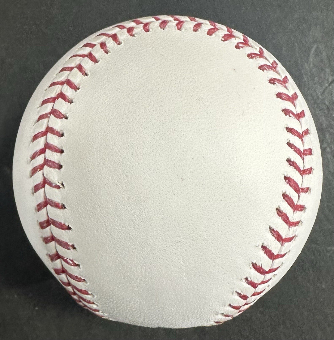 Mike Piazza Signed Official MLB Baseball Mets HOF 16 Autograph Steiner MLB COA