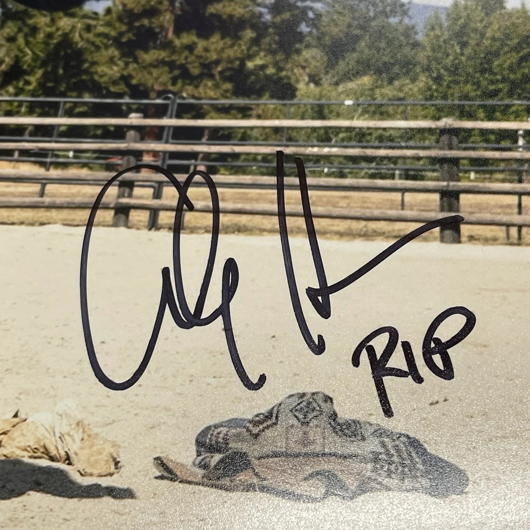Cole Hauser Signed 11x14 Photo PSA Autographed Yellowstone