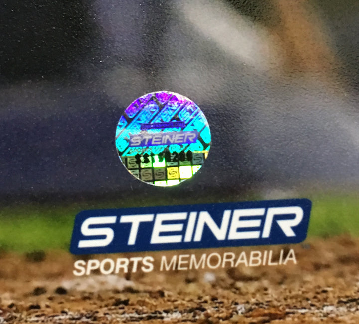 Tyler Austin signed 8x10 walk off HR photo framed yankees coin auto Steiner COA