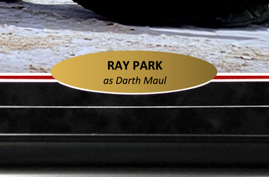 Ray Park Autographed Star Wars Darth Maul 16x20 Photo Framed JSA Signed Sith 1