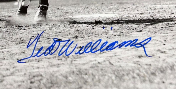 Ted Williams Signed Framed 16x20 Boston Red Sox Front Swing Photo PSA/DNA LOA