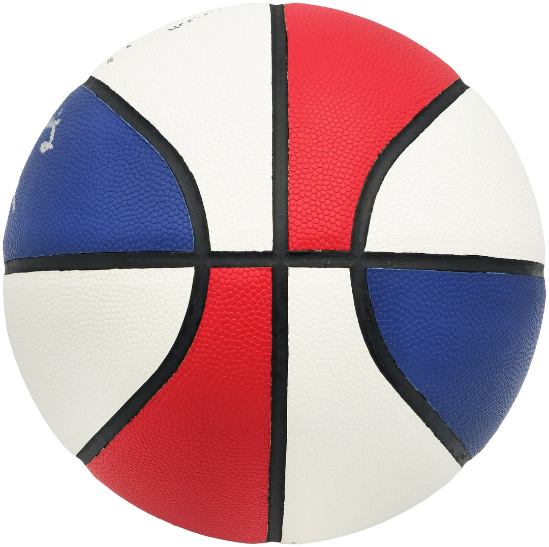 Julius Dr J Erving Auto ABA Logo Red White Basketball Nets 16x All Star Beckett