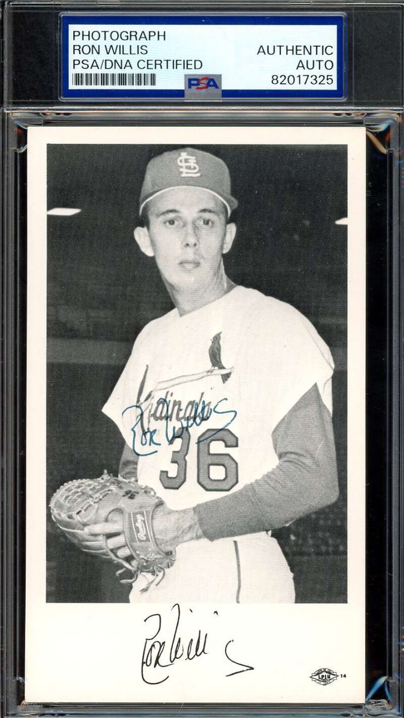 Ron Willis PSA DNA Coa Signed 1960`S Cardinals Team Issued Photo Postcard Auto