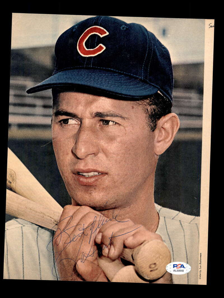 Ron Santo PSA DNA Signed  Vintage 8x10 Photo Autograph Cubs