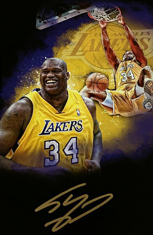 SHAQUILLE O'NEAL Signed 18x24 Canvas Photo LAKERS HOF Shaq Auto PSA/DNA COA